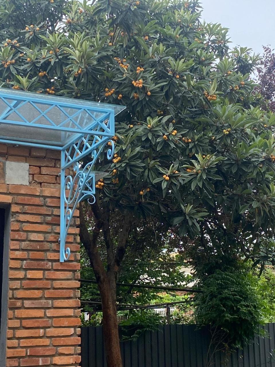 Hotel Varla Kʼutʼaisi Exterior foto