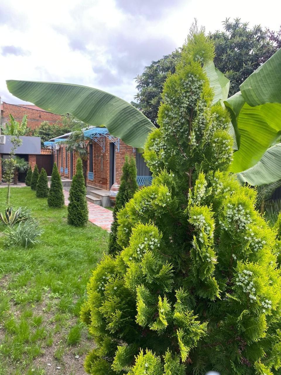 Hotel Varla Kʼutʼaisi Exterior foto